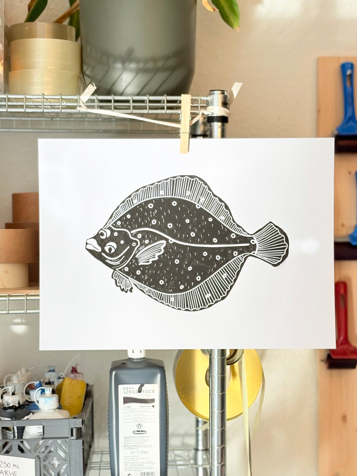 Plaice (choose color)