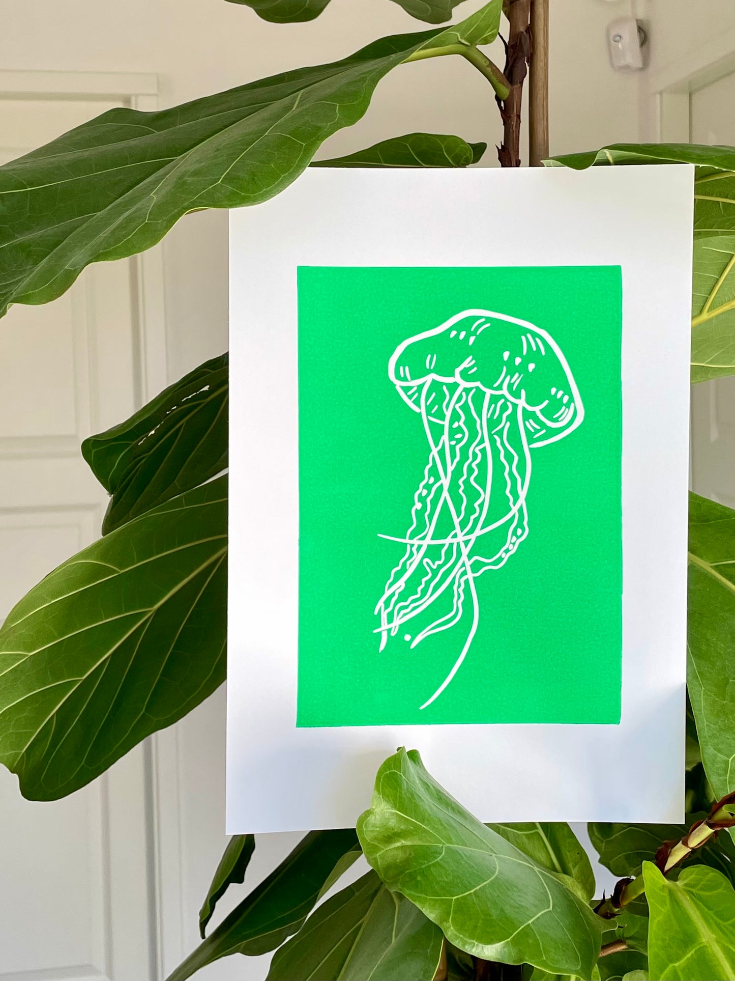 Aquarius (choose color)