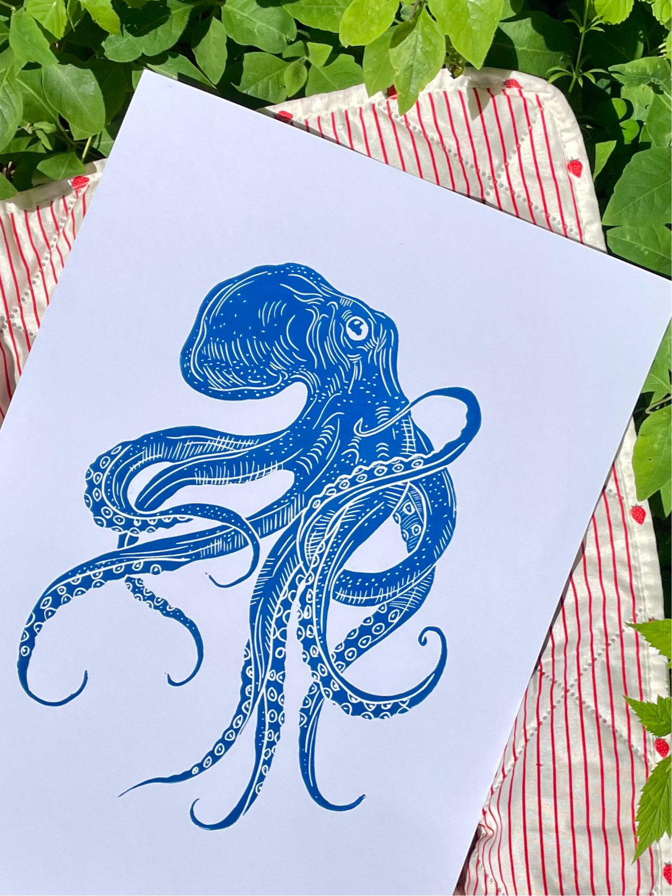 Octopus (choose color)