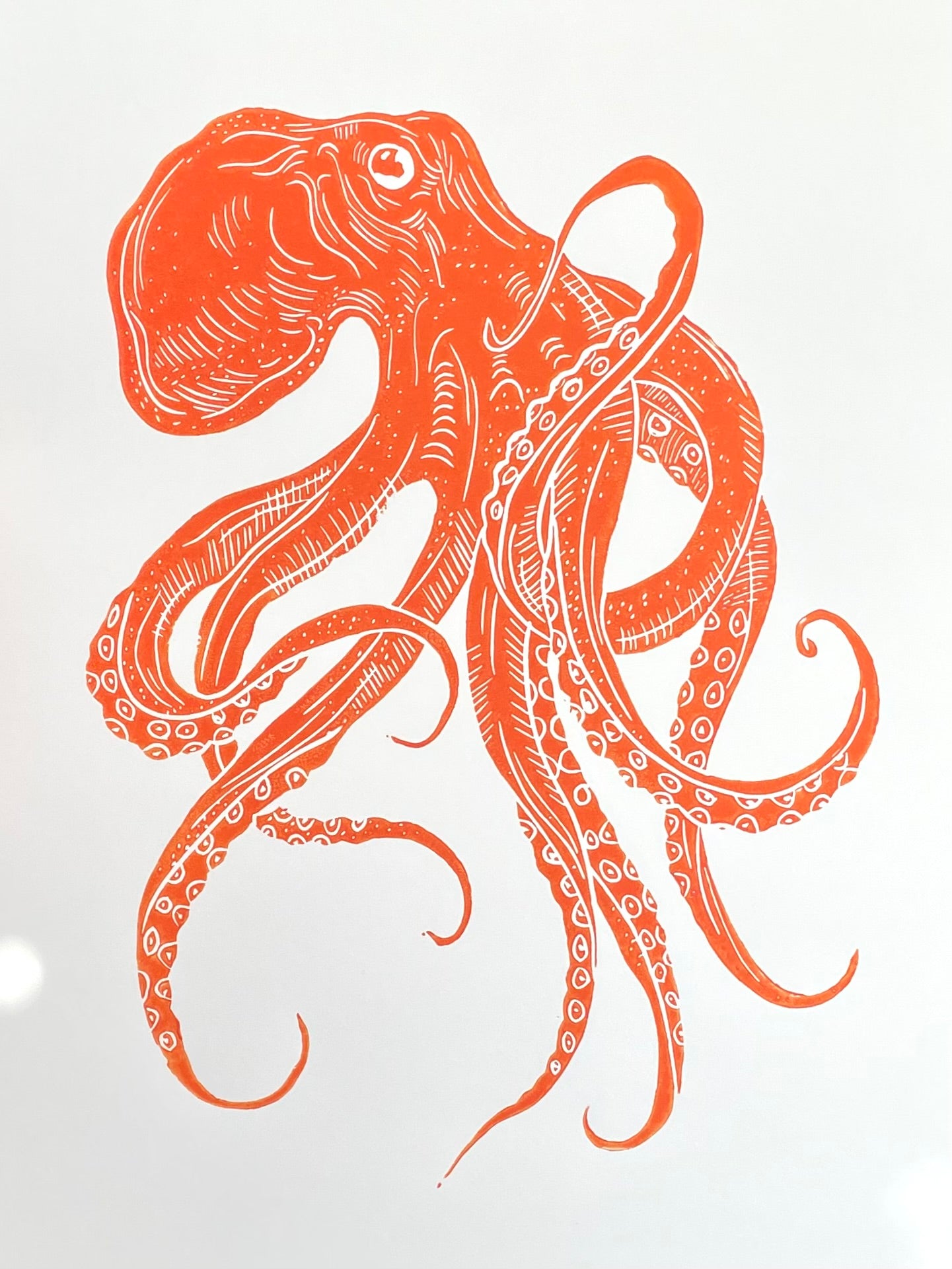 Octopus (choose color)