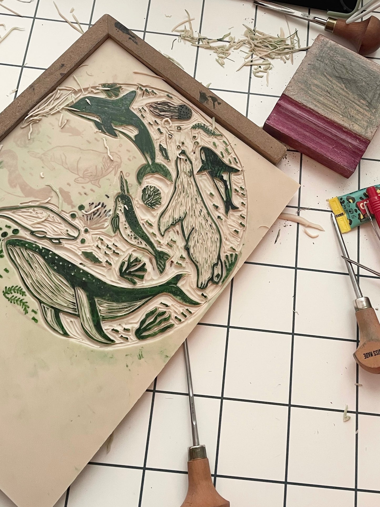 Arctic animals (choose color)