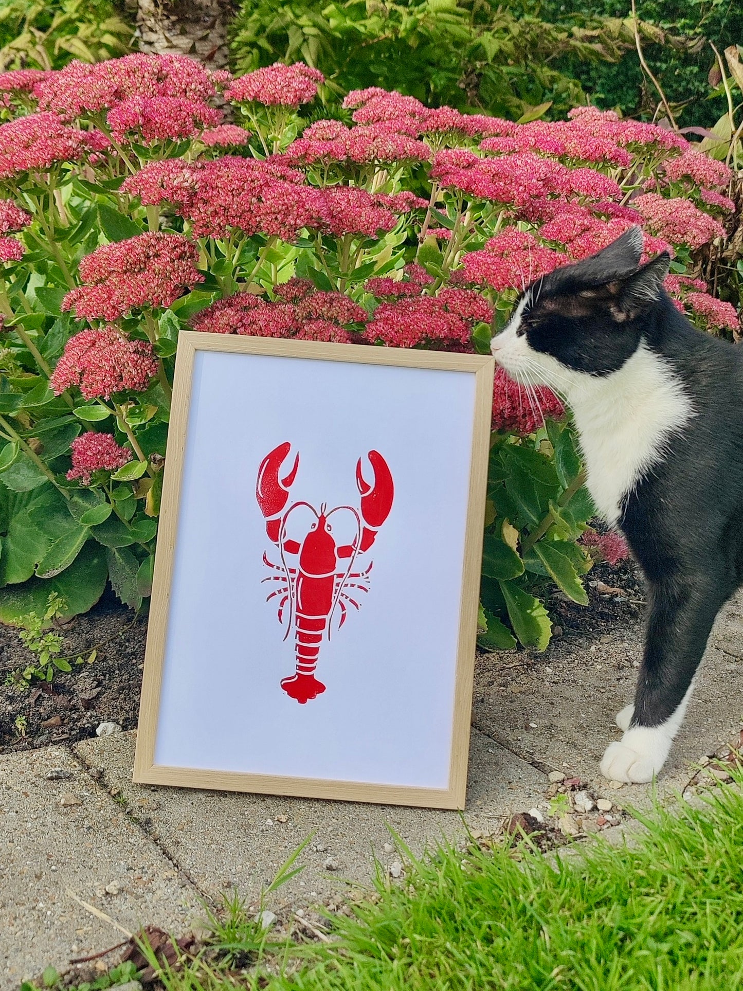 Hummer (vælg farve)