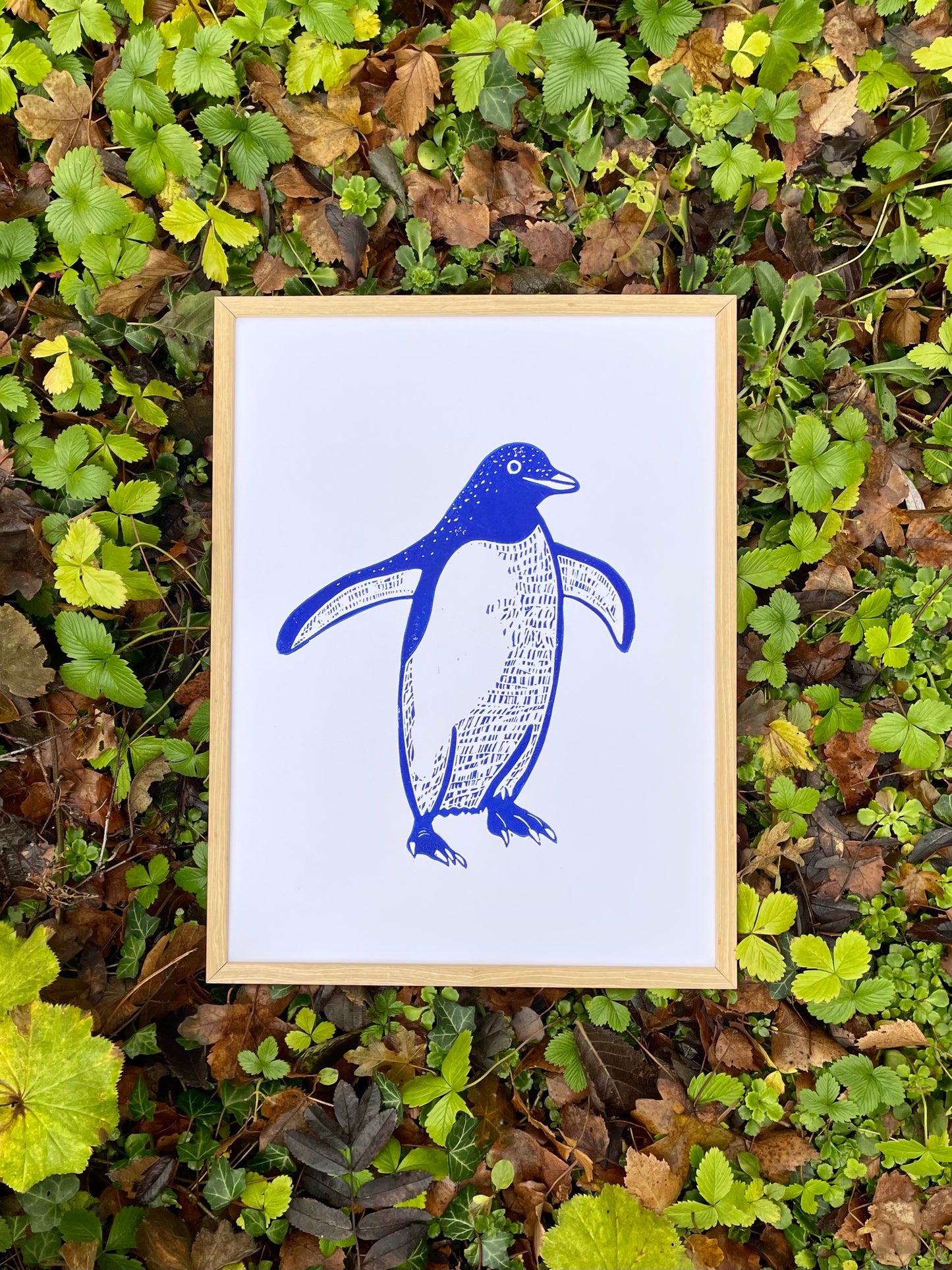 Penguin (choose color)