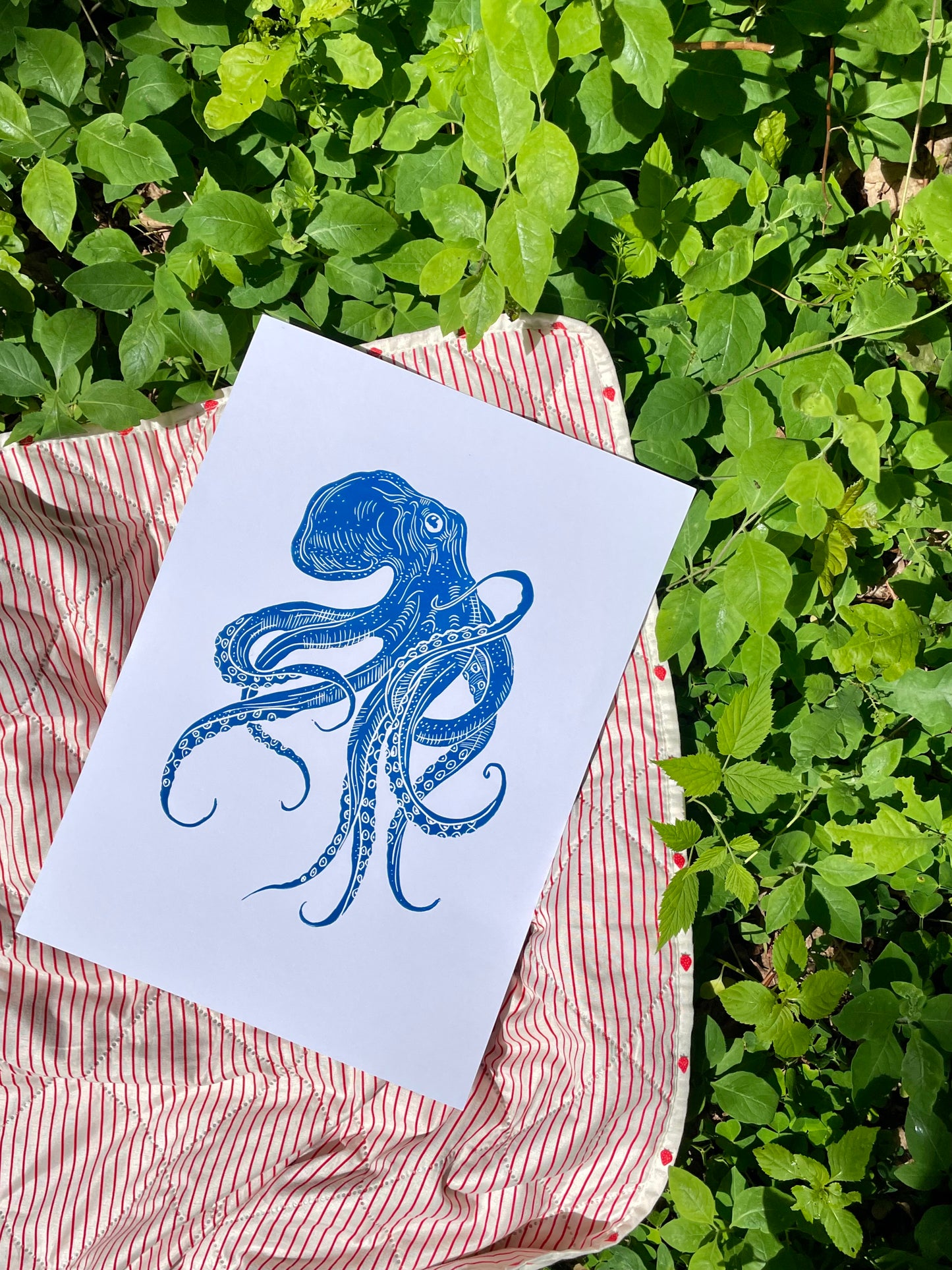 Octopus (choose color)