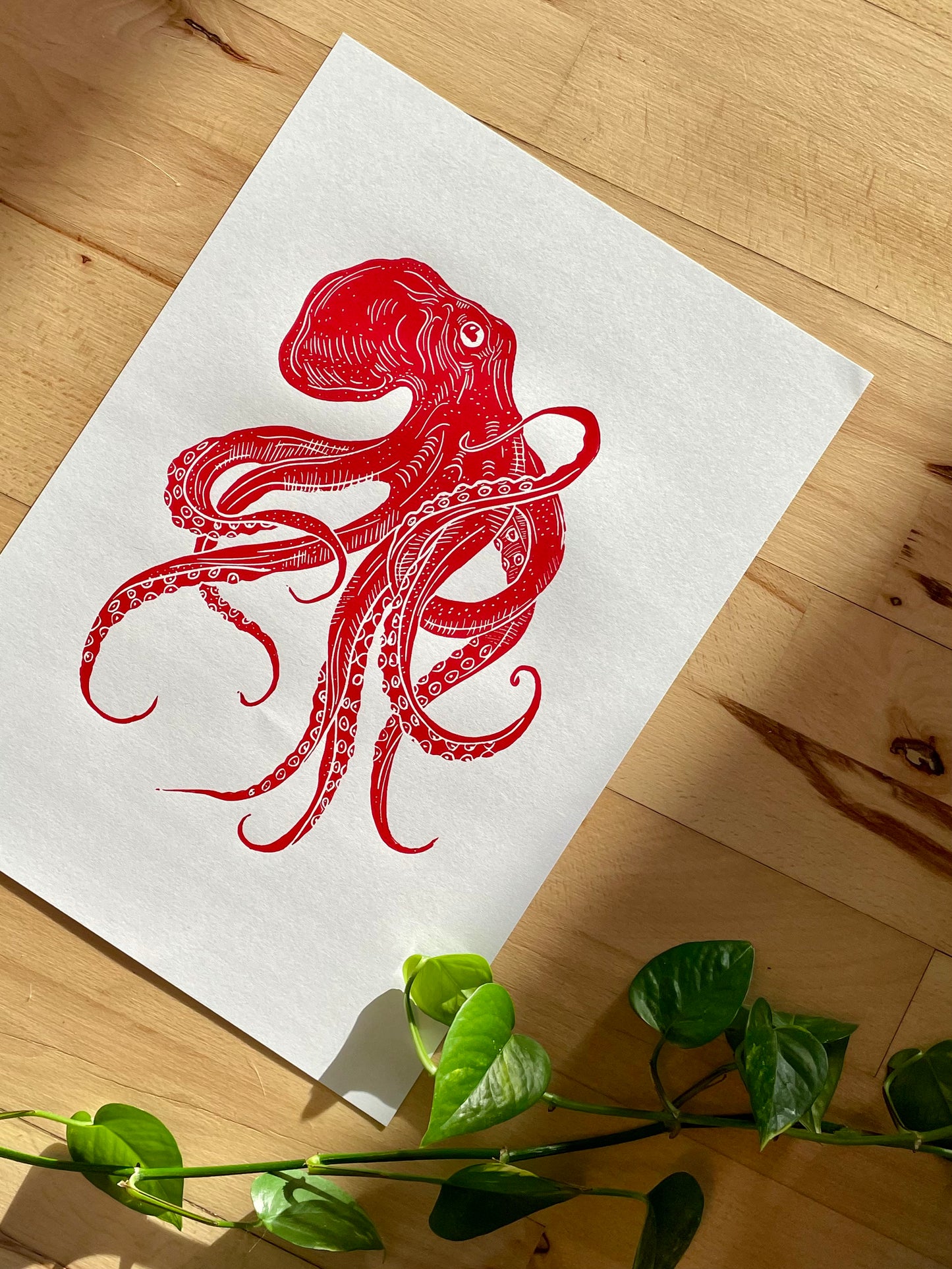Octopus (choose color)