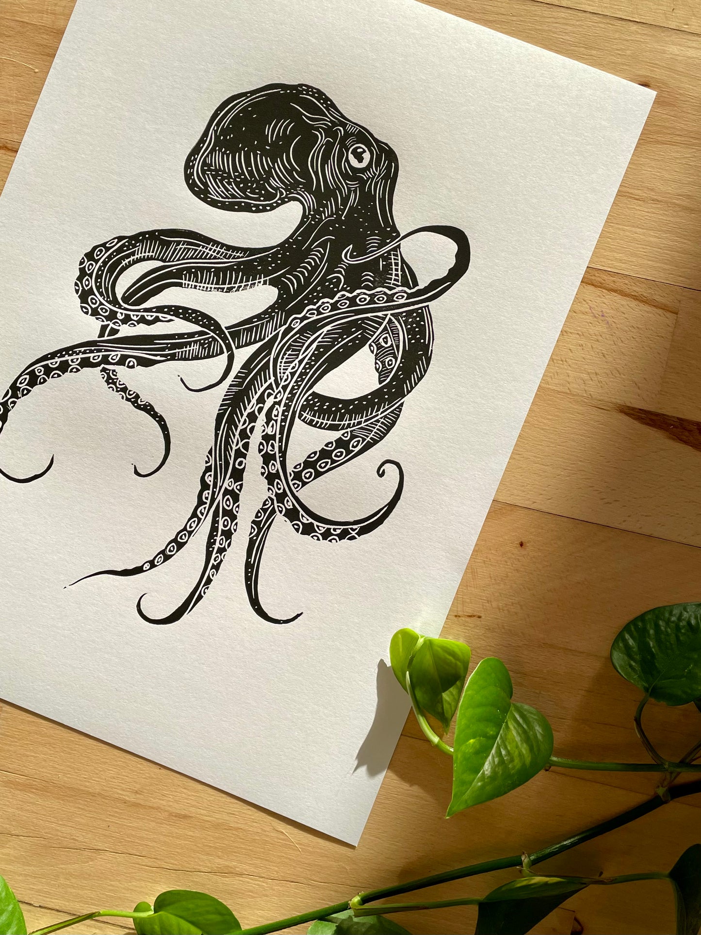 Octopus (choose color)