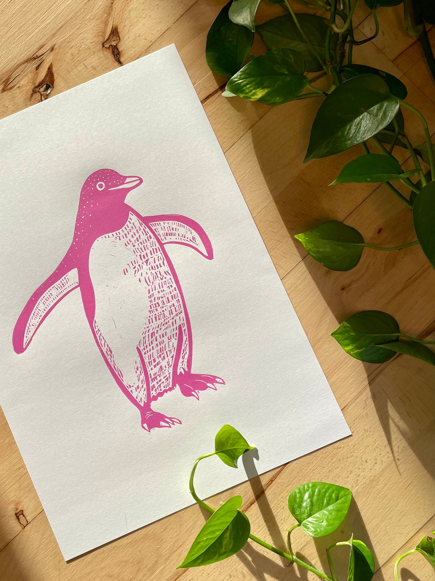 Penguin (choose color)