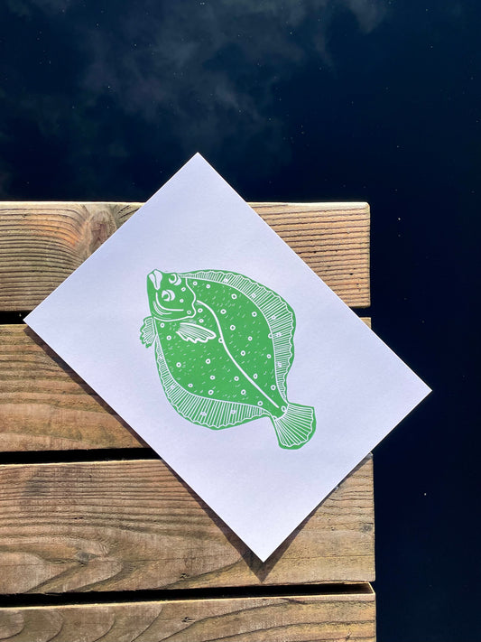 Plaice (choose color)