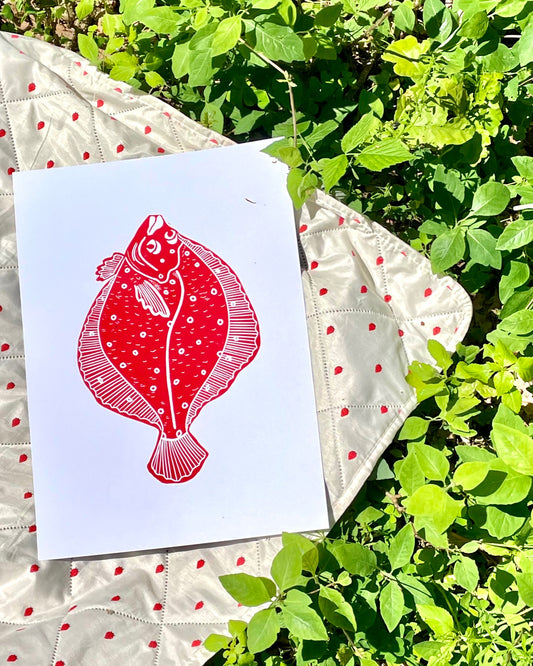 Plaice (choose color)