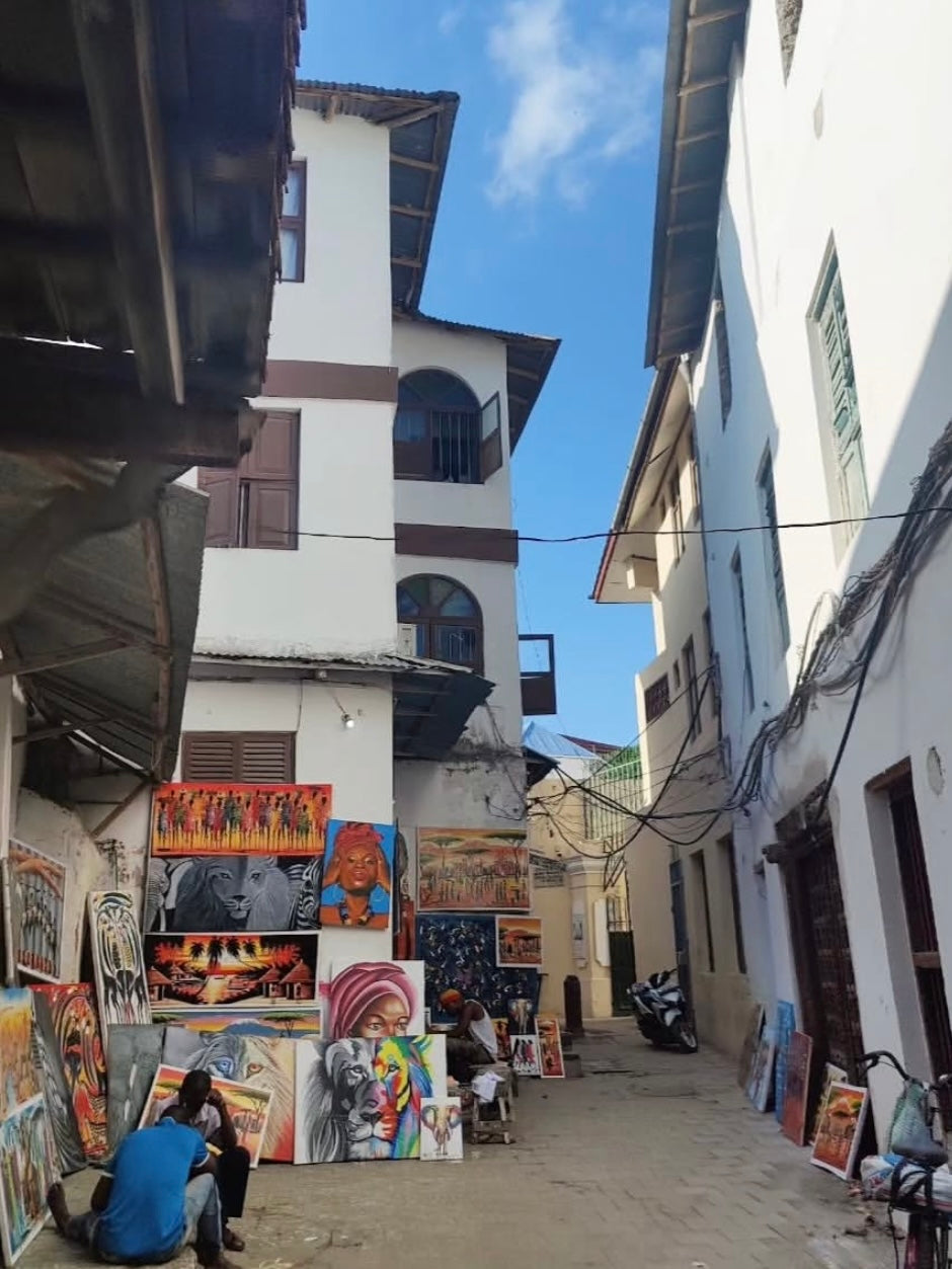 Stone Town, Zanzibar (vælg farve)