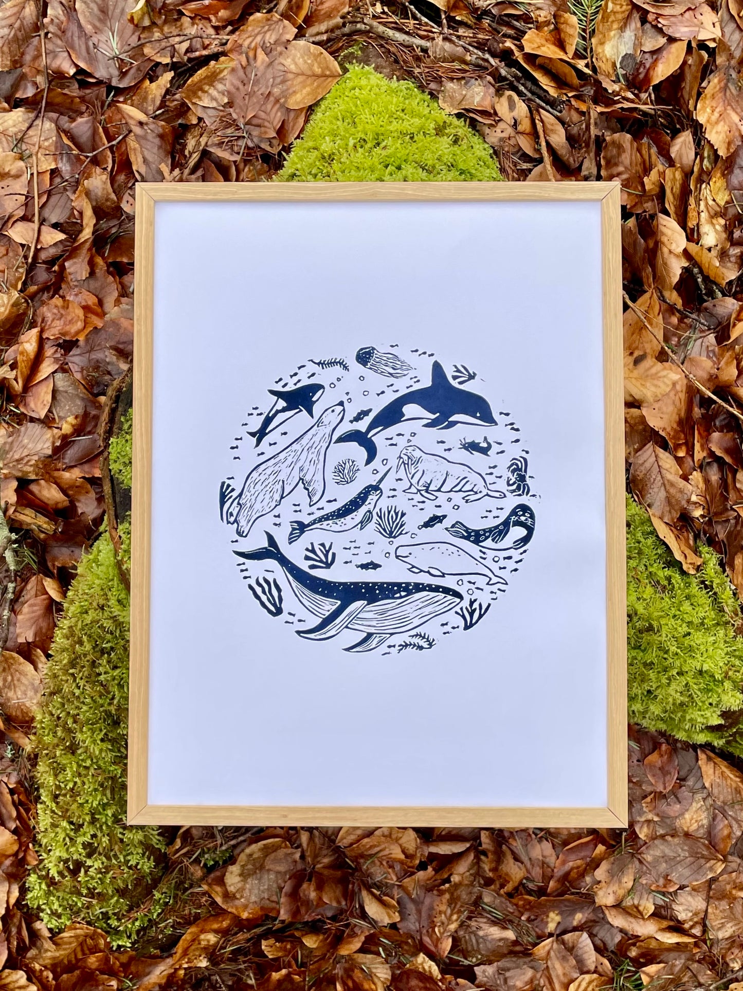 Arctic animals (choose color)