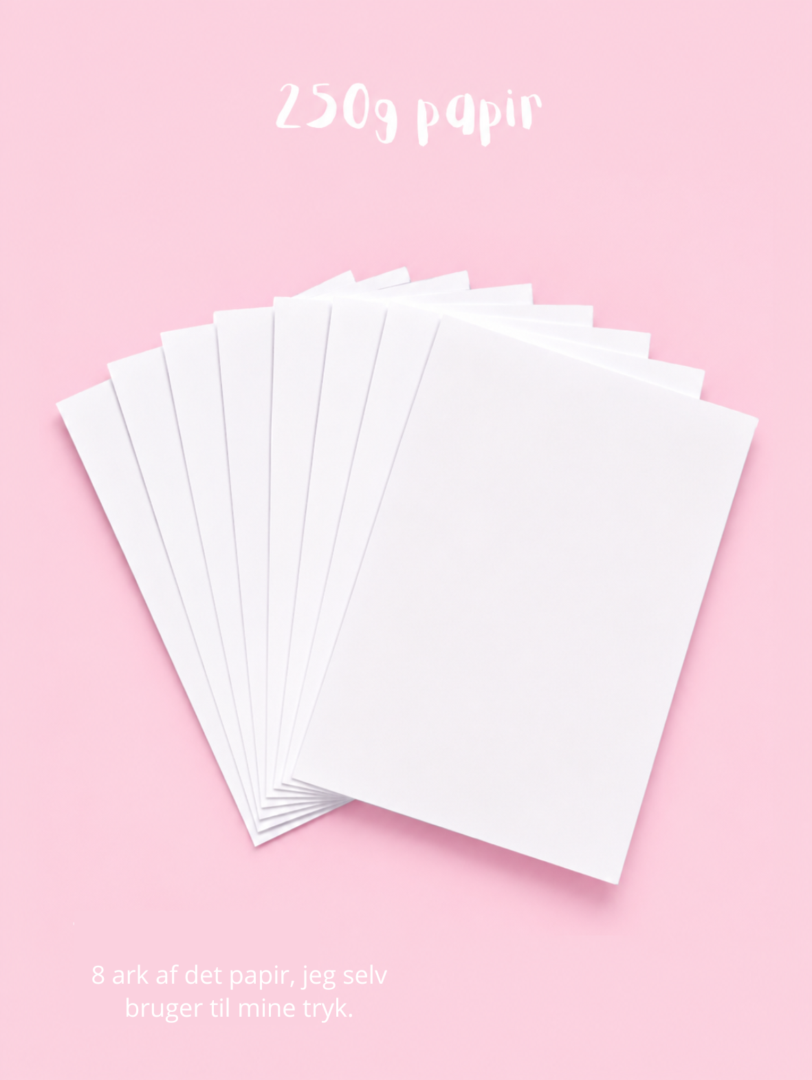 LINO STARTER KIT x Lino Memories (+ e-bog)